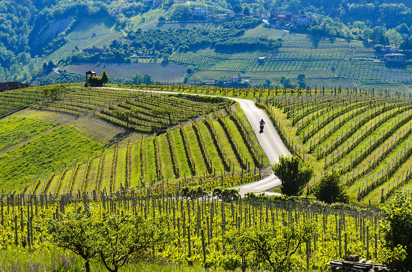 Le Langhe in bici: Alba, Monforte e Serralunga, tra castelli e vigneti -  Luxury Bike Hotels