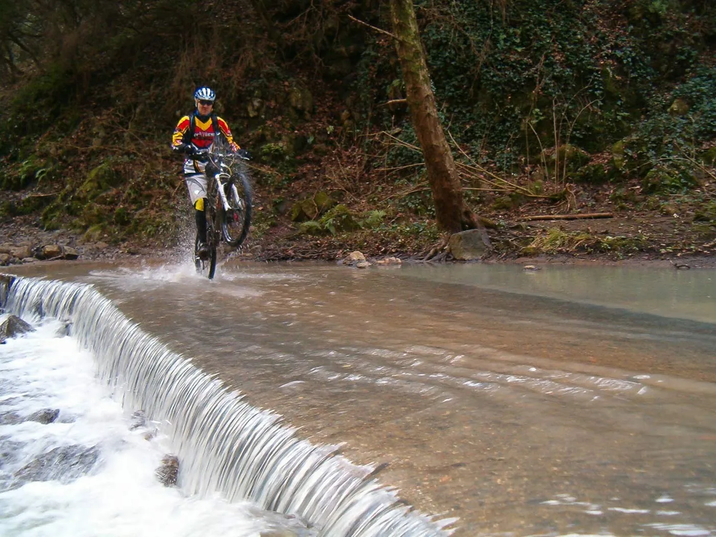 trail in Mountain Bike
