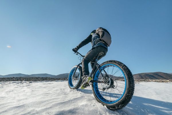 biciclette 2 posti con sterzo dietro