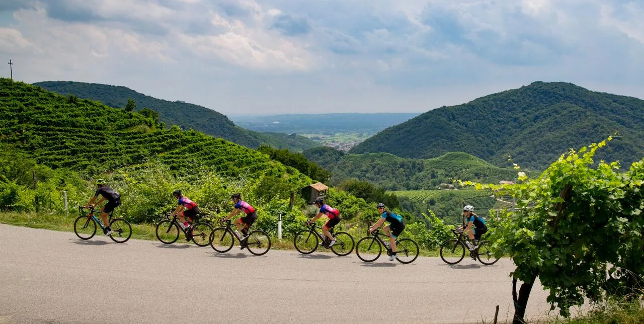 Discover the Prosecco Road in Veneto with Bike Tour