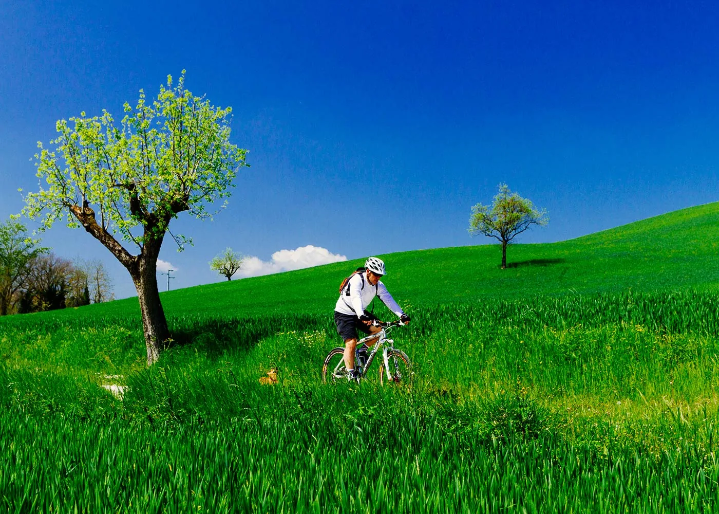 Mountain bike in Toscana