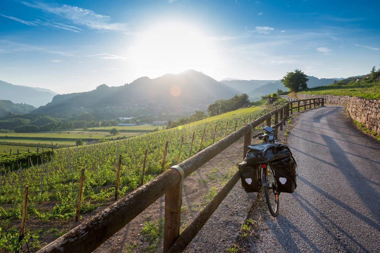 Travel by bike in Trentino Trentino Top Cycling Routes