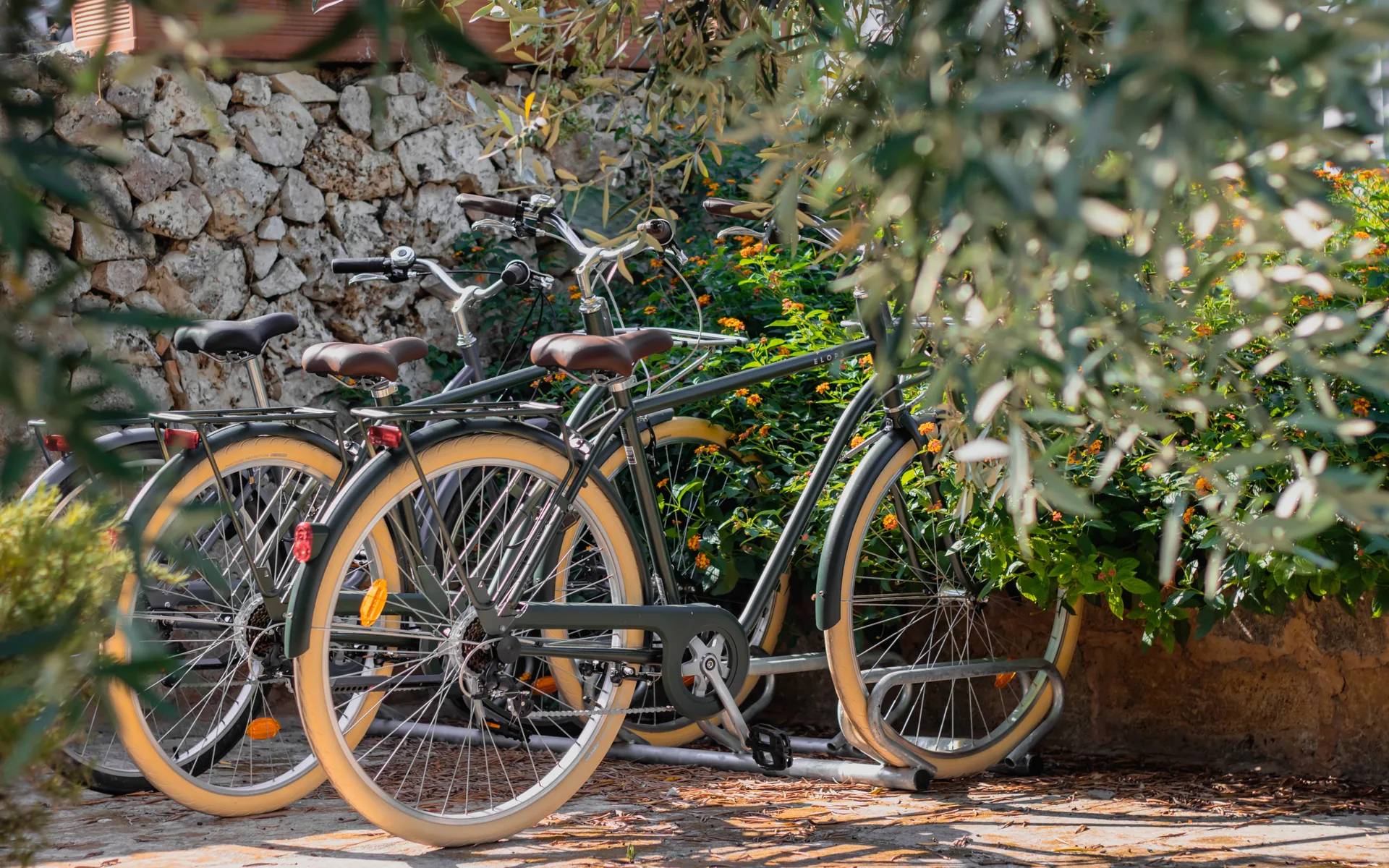 Marenea Suite Hotel parco bici 
